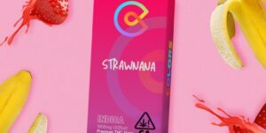 Strawnana | Premium THC Vape 1Gram